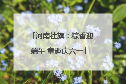 河南社旗：粽香迎端午 童趣庆六一