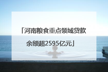 河南粮食重点领域贷款余额超2595亿元