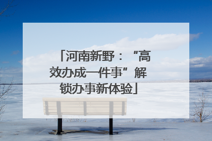 河南新野：“高效办成一件事”解锁办事新体验