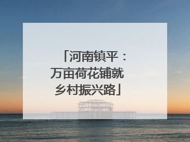 河南镇平：万亩荷花铺就乡村振兴路