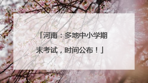 河南：多地中小学期末考试，时间公布！