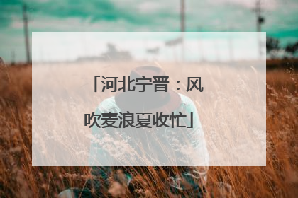 河北宁晋：风吹麦浪夏收忙