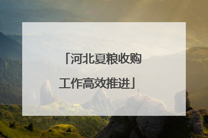 河北夏粮收购工作高效推进
