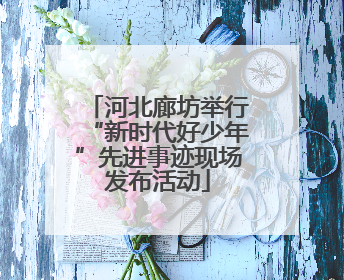 河北廊坊举行“新时代好少年”先进事迹现场发布活动