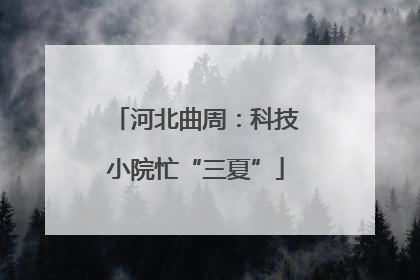 河北曲周：科技小院忙“三夏”