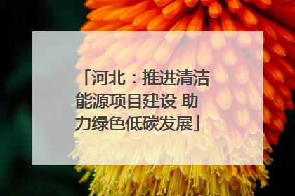 河北：推进清洁能源项目建设 助力绿色低碳发展