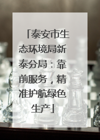 泰安市生态环境局新泰分局：靠前服务，精准护航绿色生产