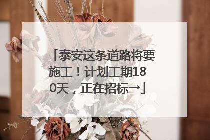泰安这条道路将要施工！计划工期180天，正在招标→