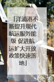 洋浦港不断提升现代航运服务能级 促进航运扩大开放政策快速落地