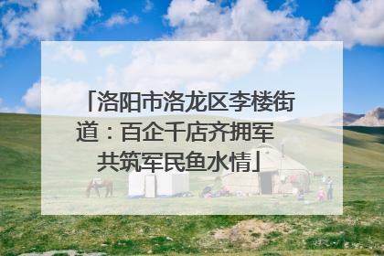 洛阳市洛龙区李楼街道：百企千店齐拥军 共筑军民鱼水情