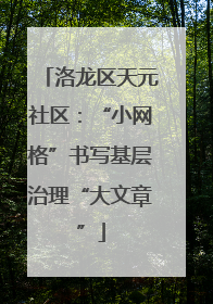 洛龙区天元社区：“小网格”书写基层治理“大文章”