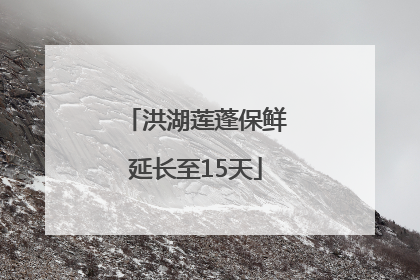 洪湖莲蓬保鲜延长至15天