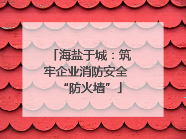 海盐于城：筑牢企业消防安全“防火墙”