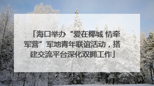 海口举办“爱在椰城 情牵军营”军地青年联谊活动，搭建交流平台深化双拥工作