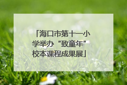 海口市第十一小学举办“致童年”校本课程成果展
