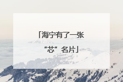 海宁有了一张“芯”名片