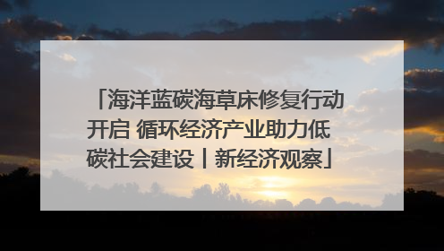 海洋蓝碳海草床修复行动开启 循环经济产业助力低碳社会建设丨新经济观察