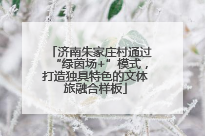 济南朱家庄村通过“绿茵场+”模式，打造独具特色的文体旅融合样板