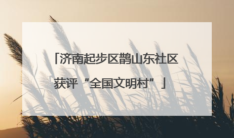 济南起步区鹊山东社区获评“全国文明村”