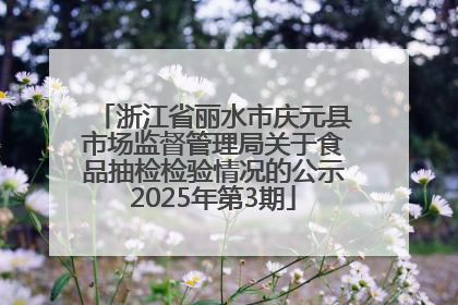浙江省丽水市庆元县市场监督管理局关于食品抽检检验情况的公示2025年第3期