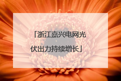 浙江嘉兴电网光伏出力持续增长