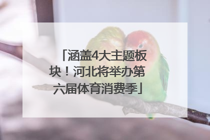 涵盖4大主题板块！河北将举办第六届体育消费季