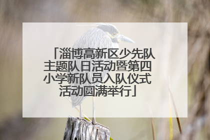淄博高新区少先队主题队日活动暨第四小学新队员入队仪式活动圆满举行