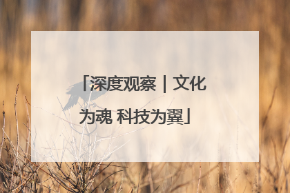 深度观察｜文化为魂 科技为翼