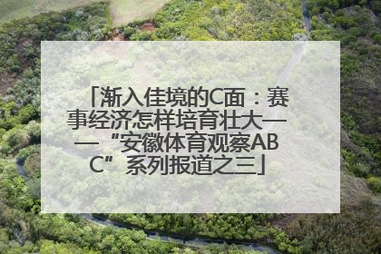 渐入佳境的C面：赛事经济怎样培育壮大——“安徽体育观察ABC”系列报道之三