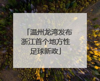 温州龙湾发布浙江首个地方性足球新政