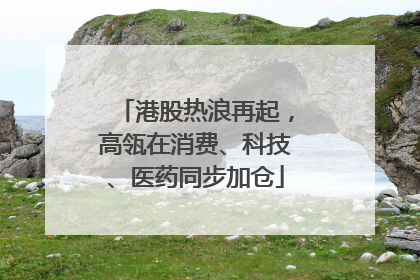 港股热浪再起，高瓴在消费、科技、医药同步加仓
