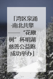湾区泉涌·南北共擎——“花楸树”杯明湖慈善公益跑成功举办
