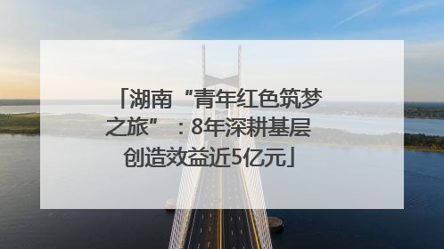 湖南“青年红色筑梦之旅”：8年深耕基层创造效益近5亿元