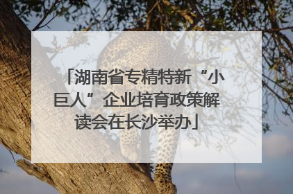 湖南省专精特新“小巨人”企业培育政策解读会在长沙举办
