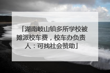 湖南岐山镇多所学校被摊派校车费，校车办负责人：可找社会赞助