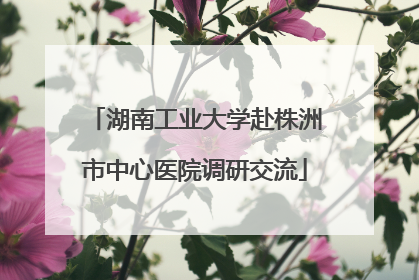 湖南工业大学赴株洲市中心医院调研交流