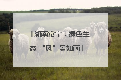 湖南常宁：绿色生态 “风”景如画