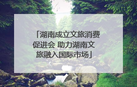 湖南成立文旅消费促进会 助力湖南文旅融入国际市场
