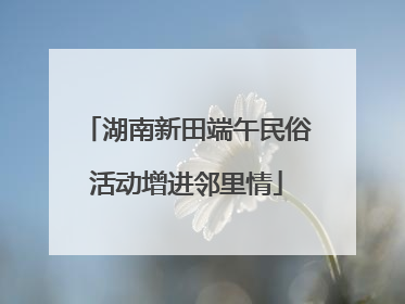 湖南新田端午民俗活动增进邻里情