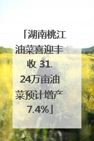 湖南桃江油菜喜迎丰收 31.24万亩油菜预计增产7.4%