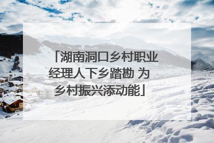 湖南洞口乡村职业经理人下乡踏勘 为乡村振兴添动能