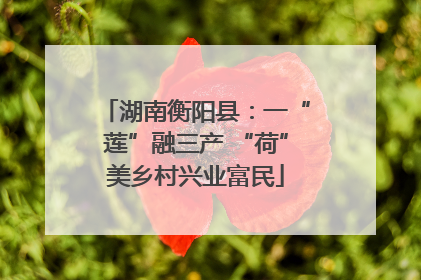 湖南衡阳县：一“莲”融三产 “荷”美乡村兴业富民