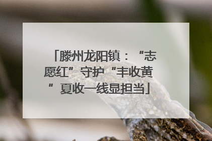 滕州龙阳镇：“志愿红”守护“丰收黄”夏收一线显担当