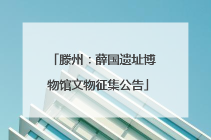 滕州：薛国遗址博物馆文物征集公告