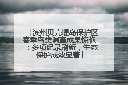 滨州贝壳堤岛保护区春季鸟类调查成果惊艳：多项纪录刷新，生态保护成效显著