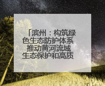 滨州：构筑绿色生态防护体系 推动黄河流域生态保护和高质量发展