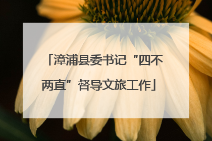 漳浦县委书记“四不两直”督导文旅工作