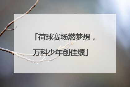 荷球赛场燃梦想，万科少年创佳绩