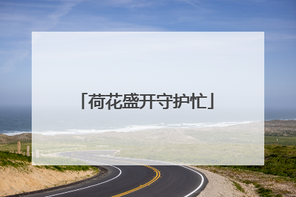 荷花盛开守护忙