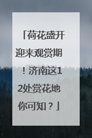 荷花盛开迎来观赏期！济南这12处赏花地你可知？
